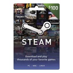 USA Steam Wallet Gift Card - $100 (E-mail Delivery)