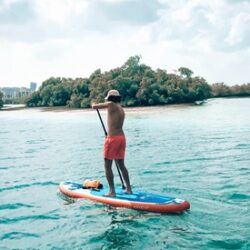 Stand-Up Paddleboard Rental